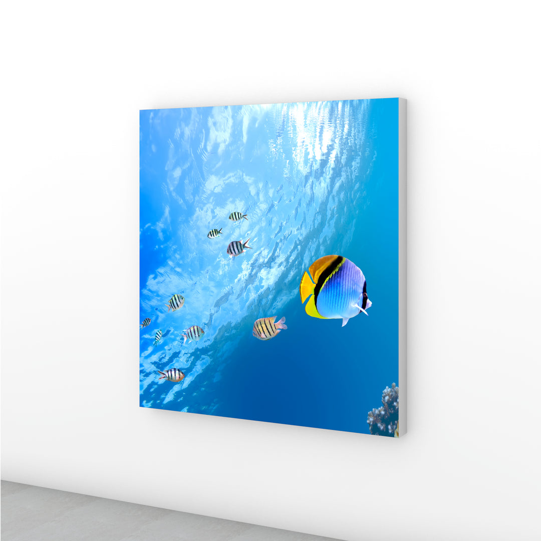 M1935 W2000xH2000 壁付け（内照） – OCTANORM